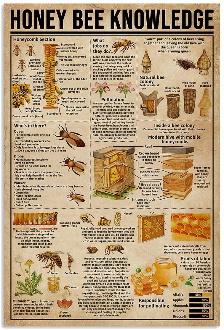 Honey Bee Knowledge Society Life Vertical