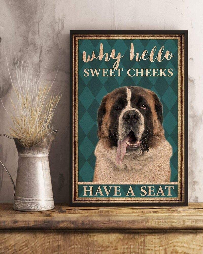 St Bernard Why Hello Sweet Cheeks Have A Seat