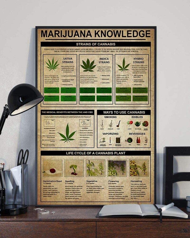 Marijuana Knowledge Strains Of Cannabis