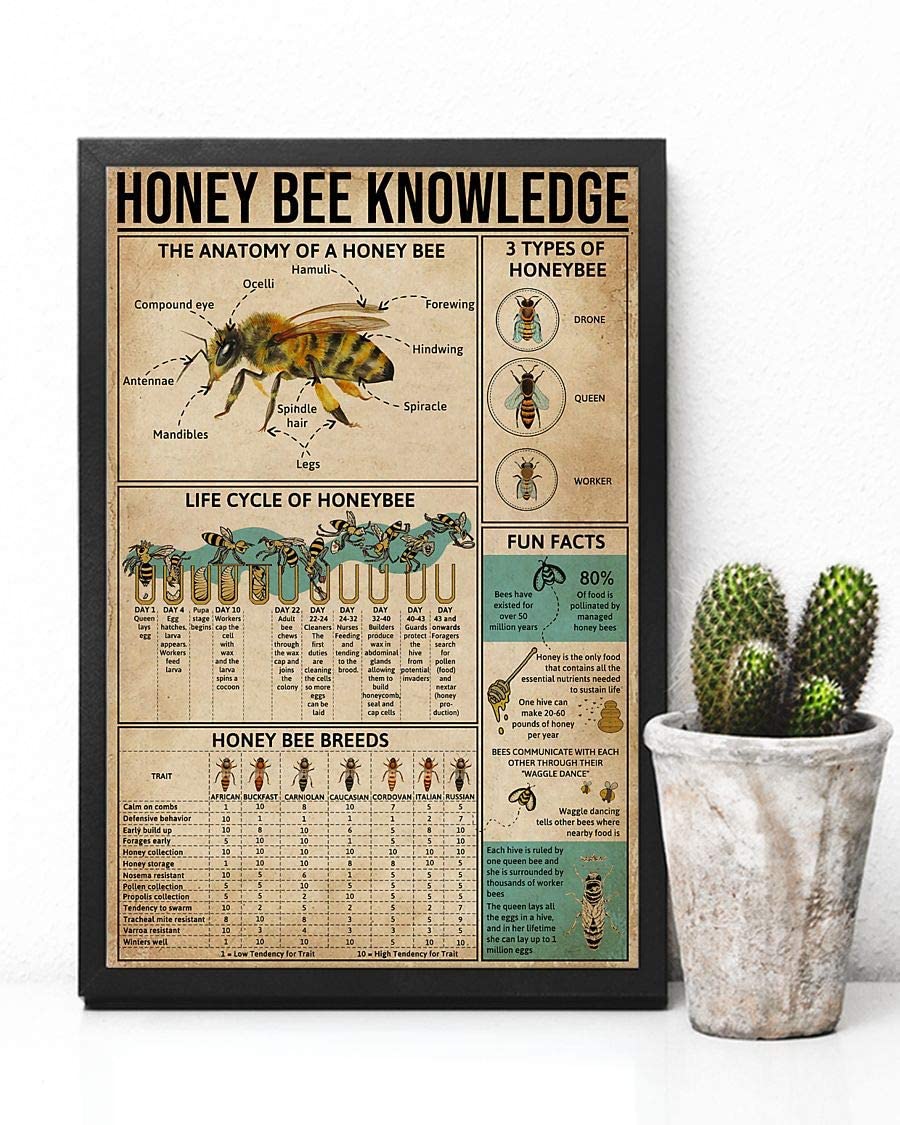Honey Bee Knowledge The Anatomy Of A Honey Bee Life Cycle Of Honeybee 1208