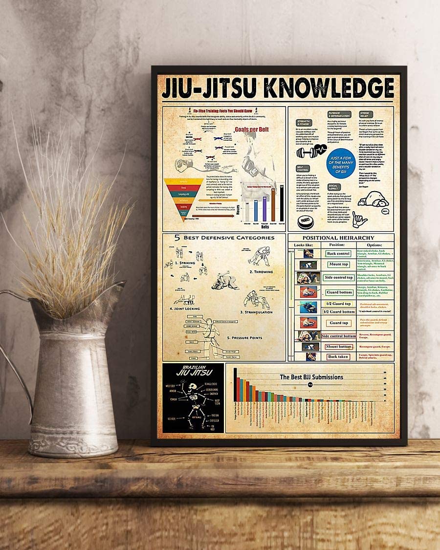 Jiu Jitsu Knowledge Positional Heirarchy 1208