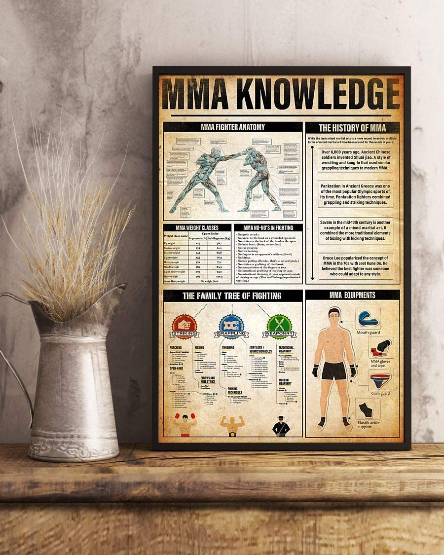Mma Knowledge Mma Fighter Anatomy 1208