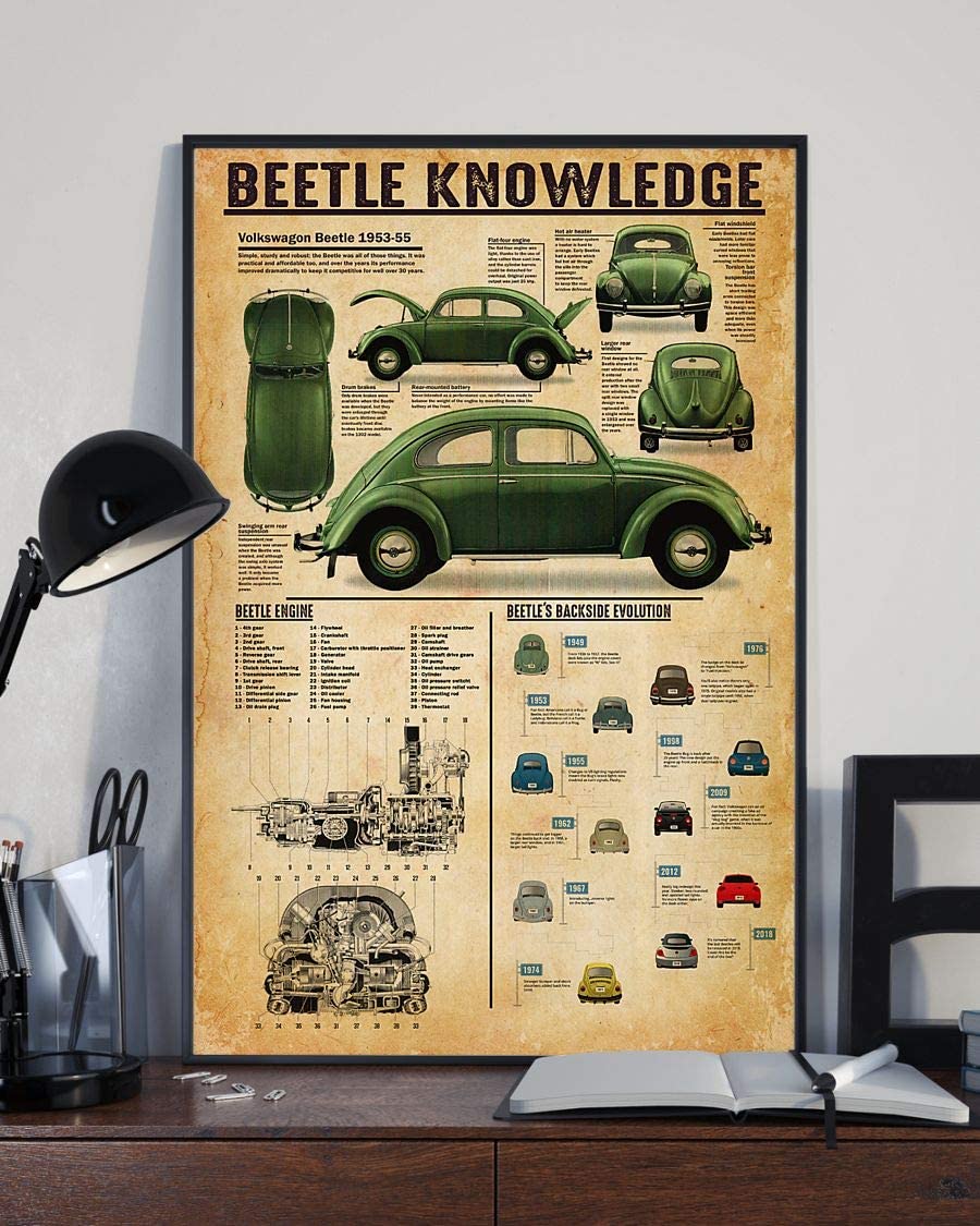 Beetle Knowledge Volkswagon Beetle 1953 55