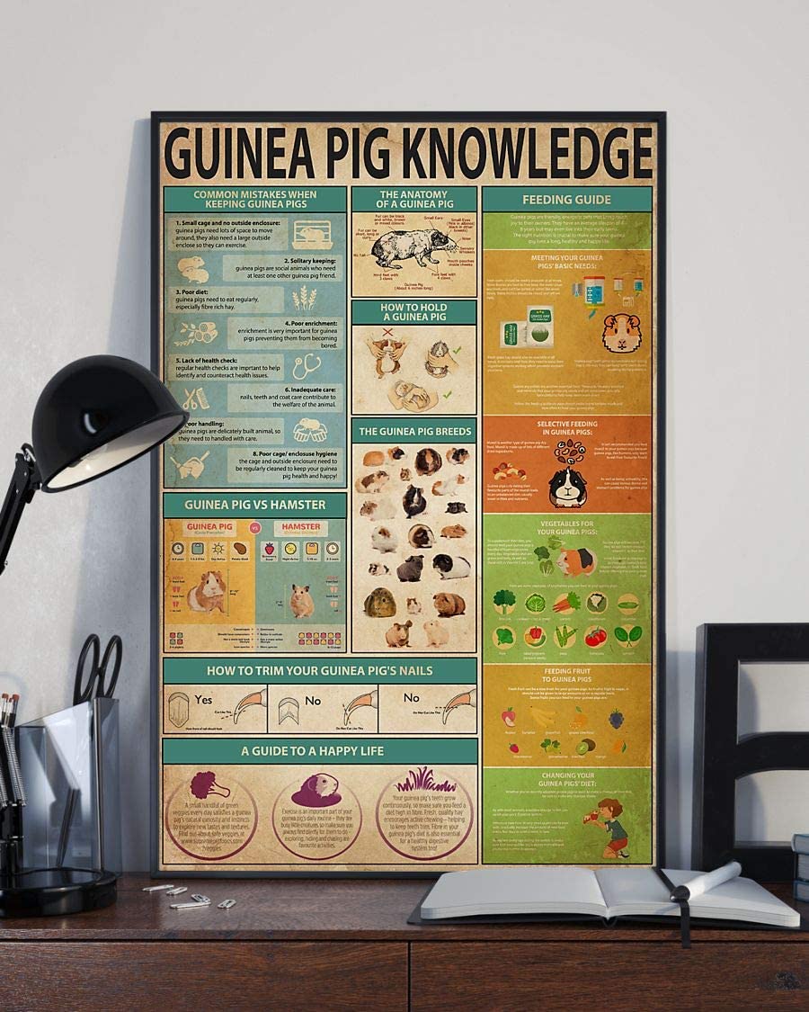 Guinea Pig Knowledge 1208