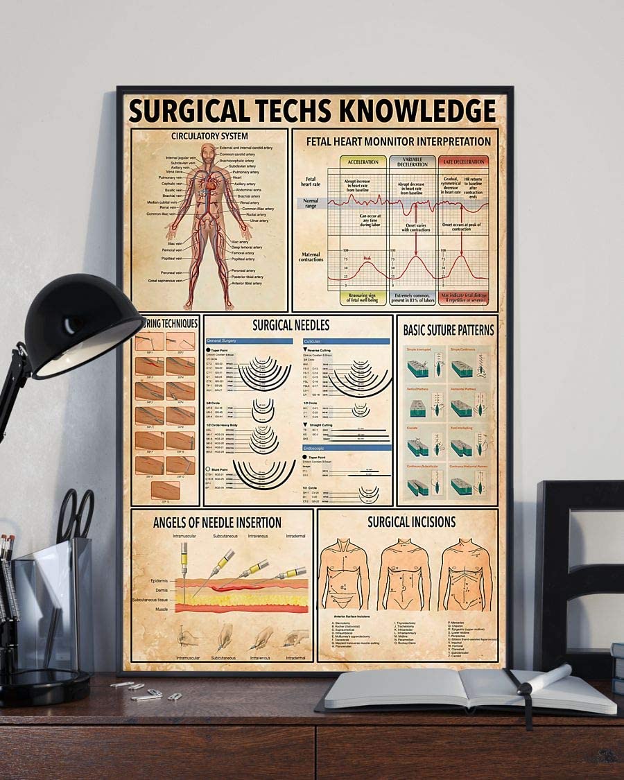 Surgical Techs Knowledge Circulatory System Fetal Heart Monnitor Interpretation 1208