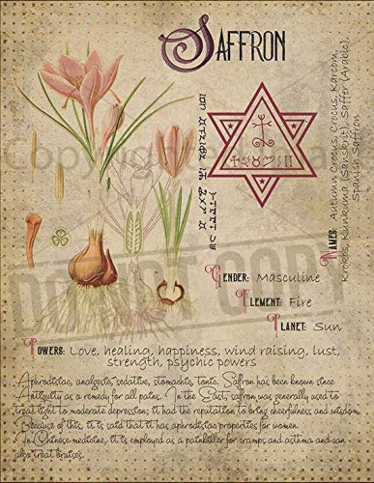 Safron Magic Plant Knowledge Herbal Herbs Witchcraft Gothic Magic Vintage