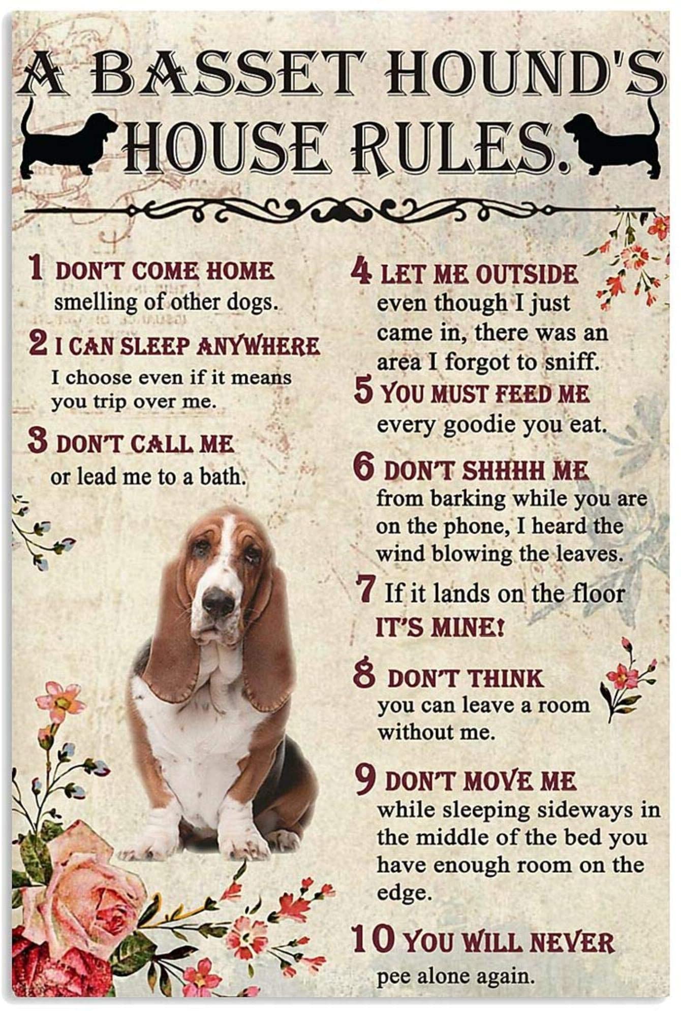 A Basset Hound'S House Rules