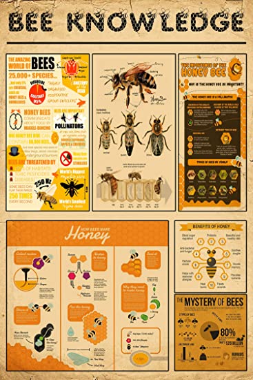 Honey Bee Knowledge