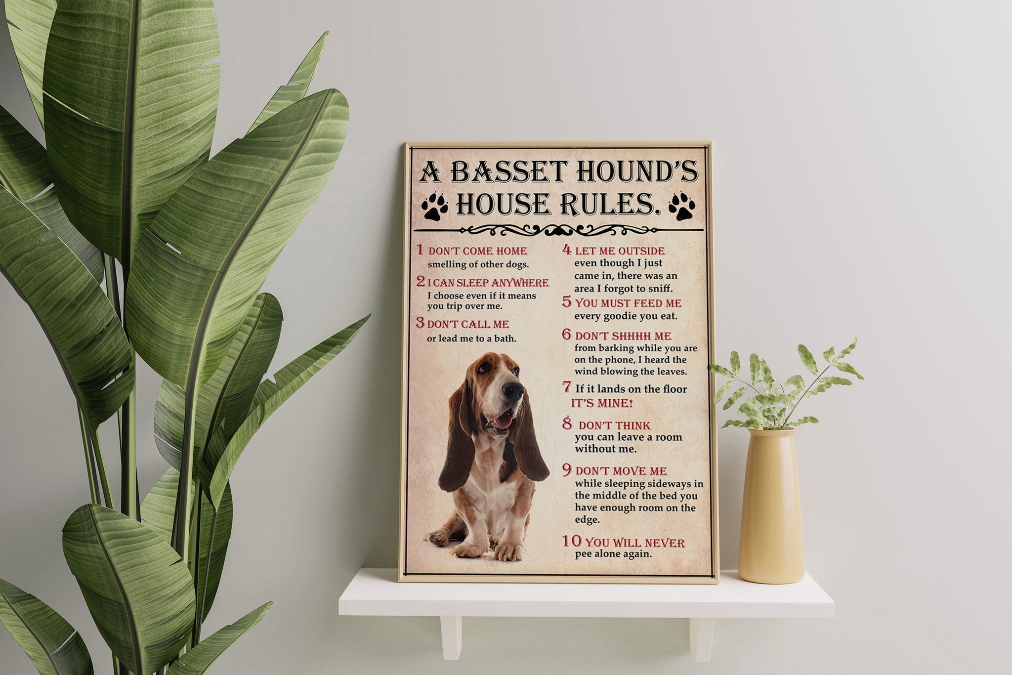 A basset hound House Rules For Dog Lover