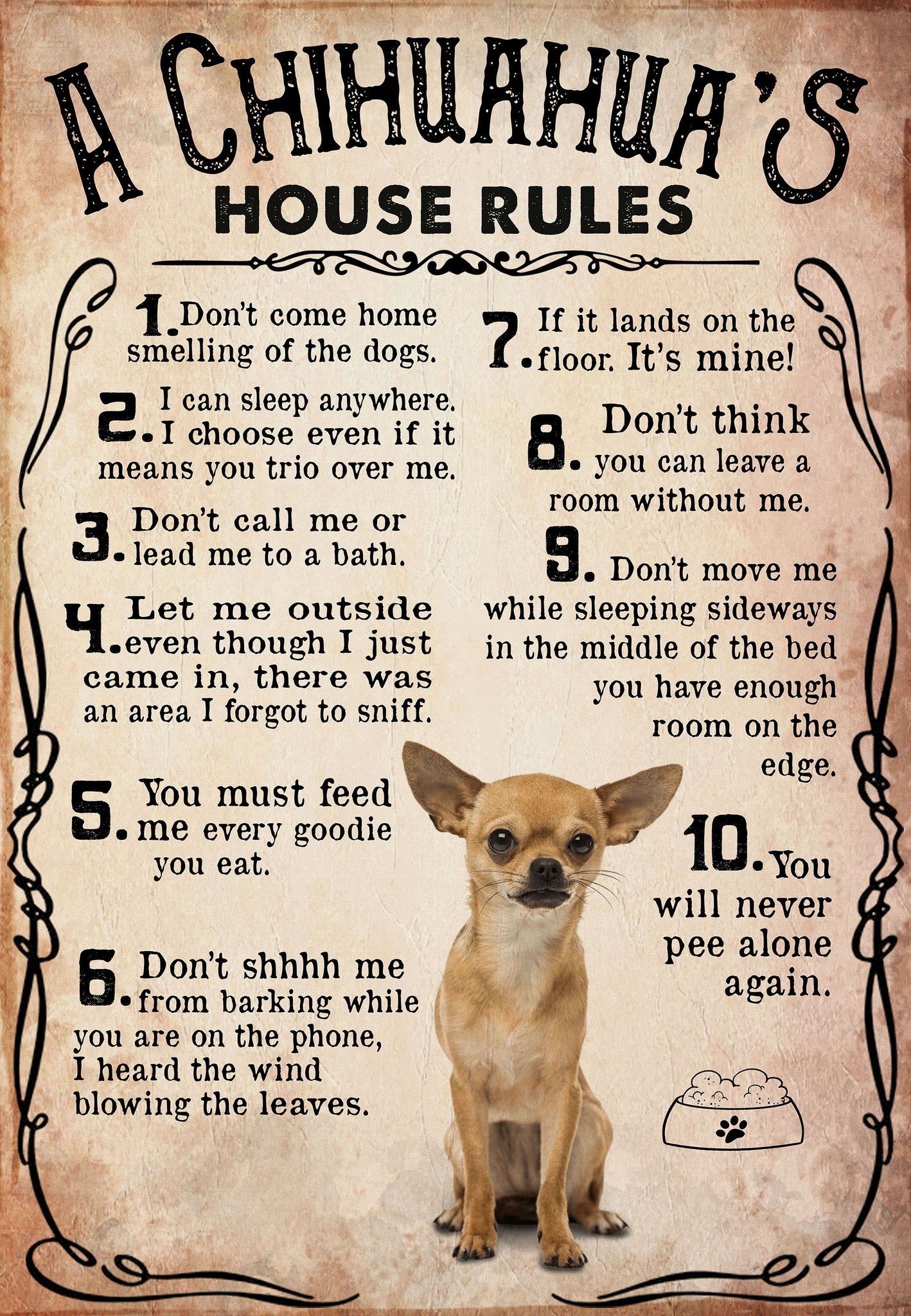 A Chihuahua's House Rules For Lovers