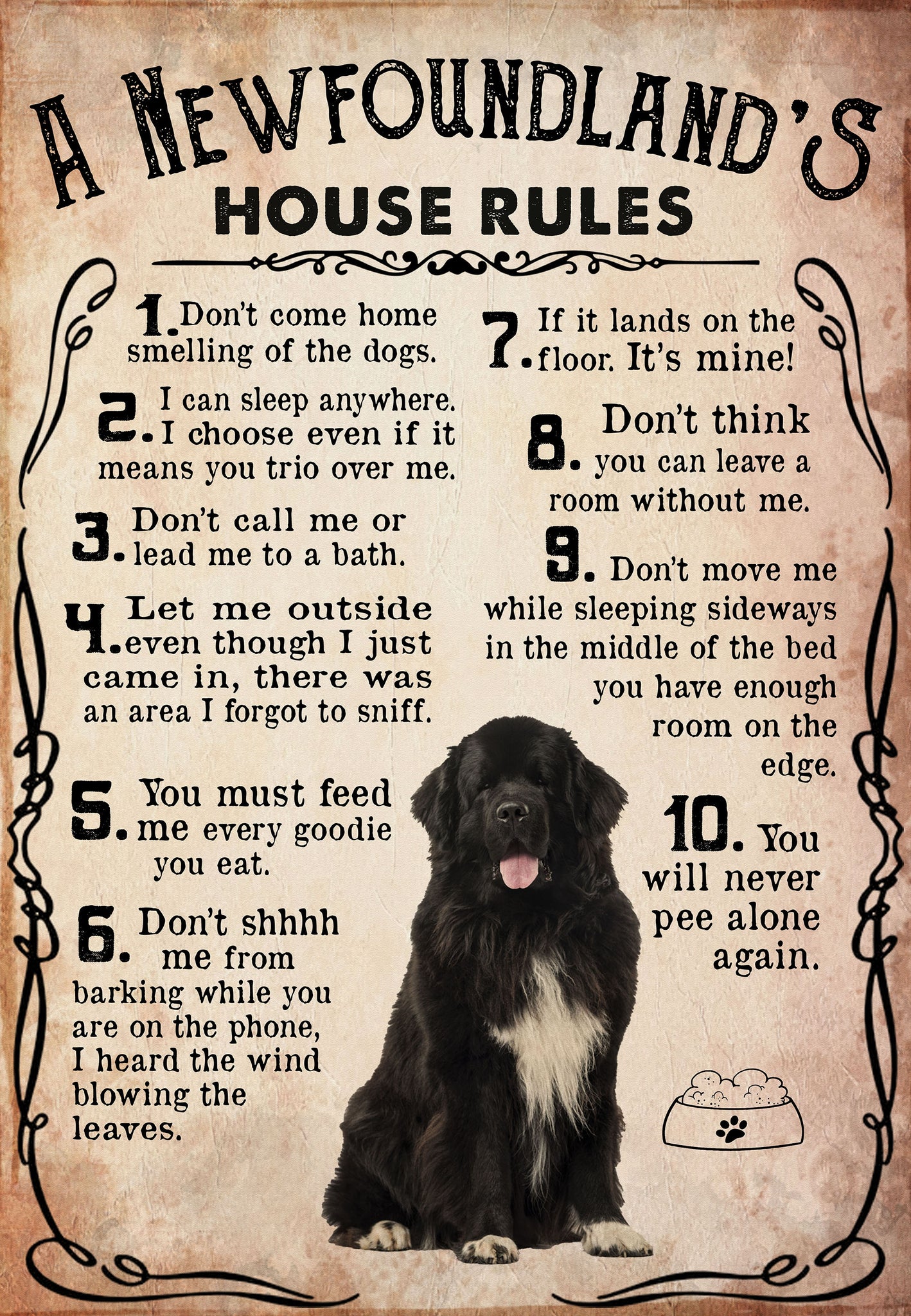 A Newfoundland's House Rules For Lovers