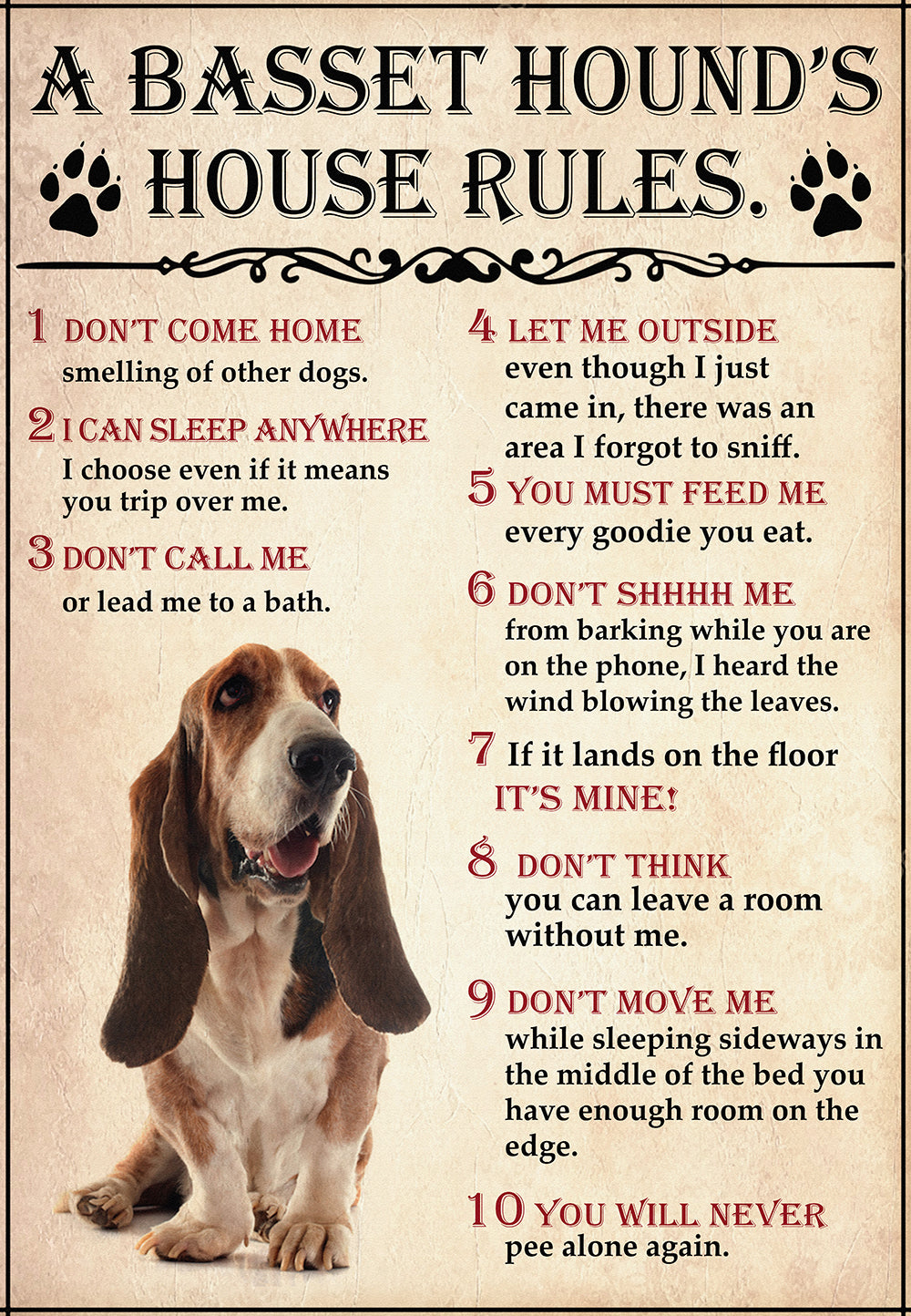 A basset hound House Rules For Dog Lover