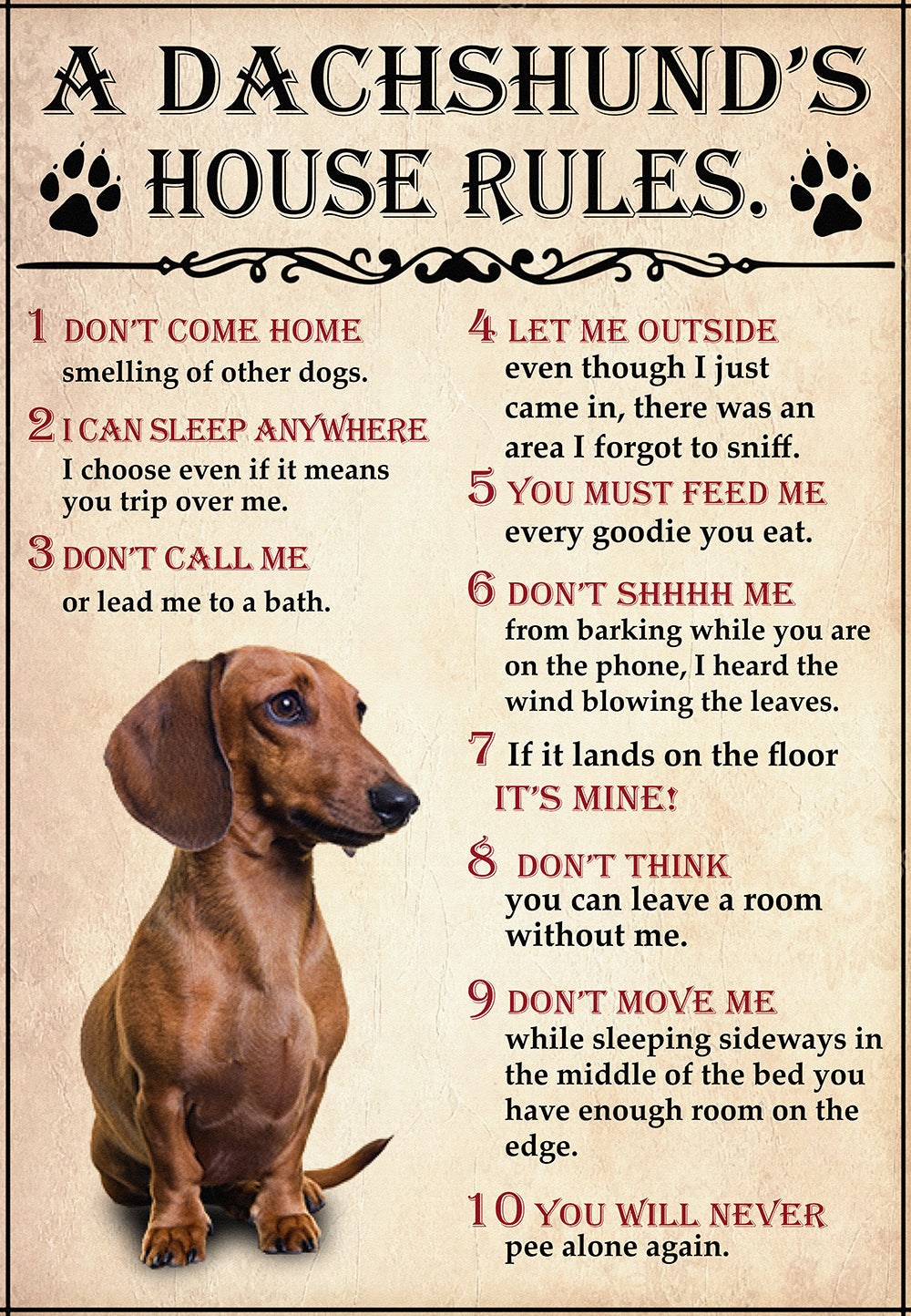 A dachshund House Rules For Dog Lover