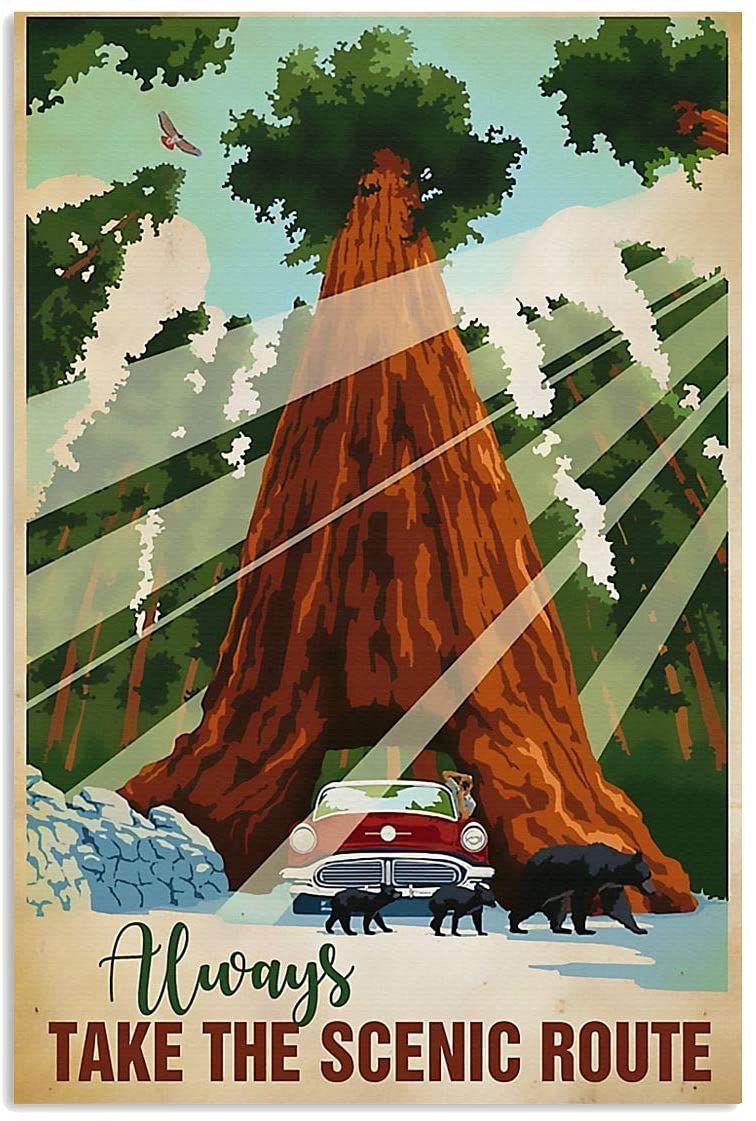 Always Take The Scene Route Giant Tree Black Bear Adventure Camping Picnic Hobby