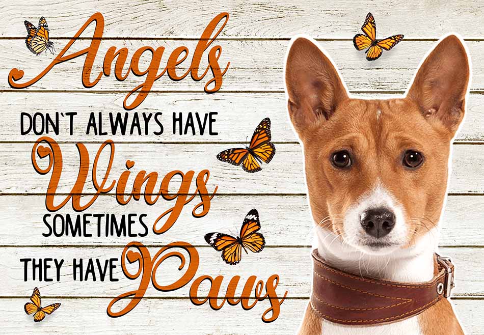 Angels Don't Always Have Wing Sometimes They New Paws Basenji MH0409