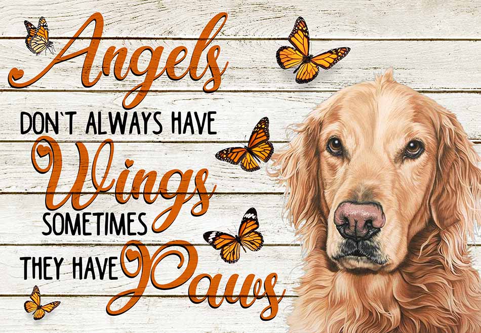 Angels Don't Always Have Wing Sometimes They New Paws Golden Retriever MH0409