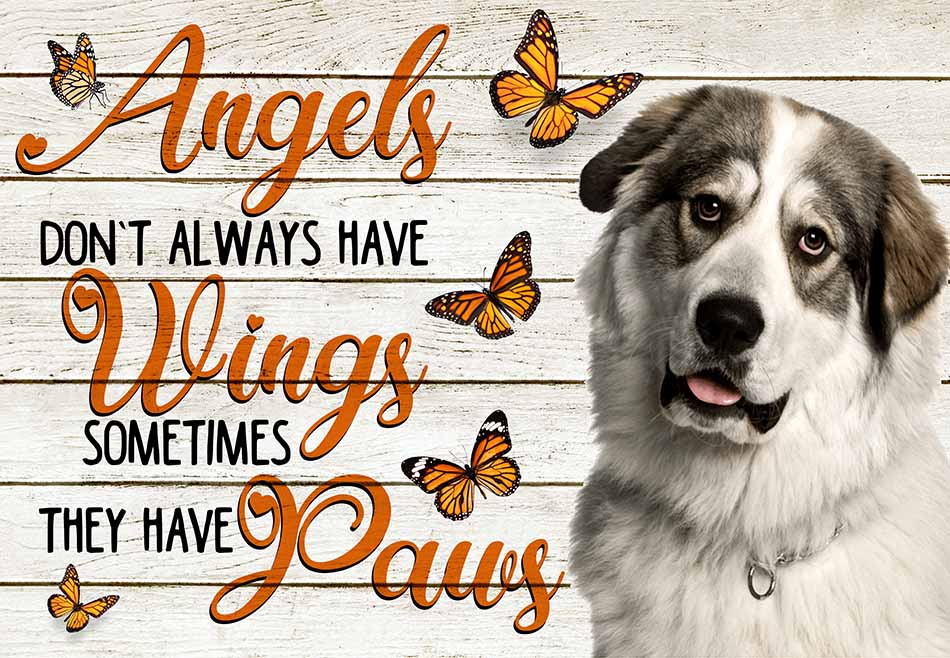 Angels Don't Always Have Wing Sometimes They New Paws Great Pyrenees MH0409