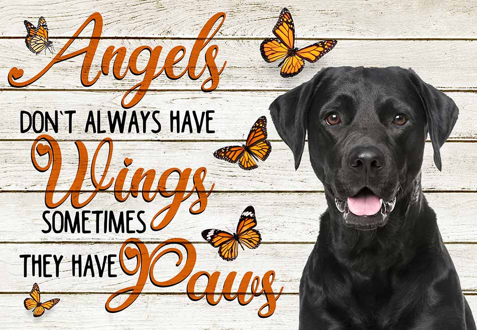 Angels Don't Always Have Wing Sometimes They New Paws Labrador MH0409