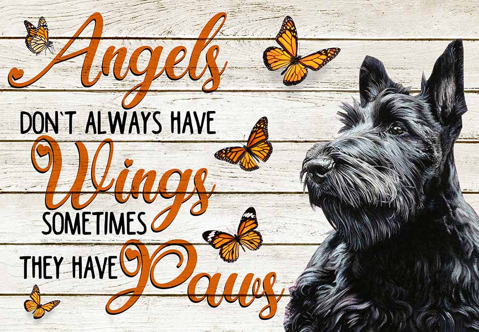Angels Don't Always Have Wing Sometimes They New Paws Scottish Terrier MH0409