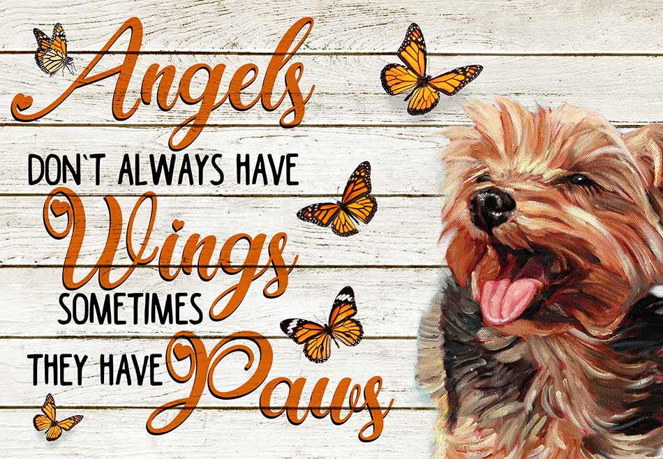 Angels Don't Always Have Wing Sometimes They New Paws Yorkshire Terrier MH0409