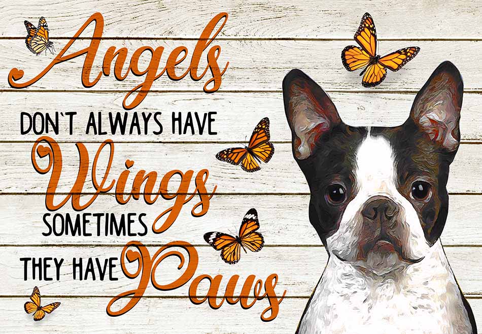 Angels Don't Always Have Wing Sometimes They New Paws Boston Terrier MH0409
