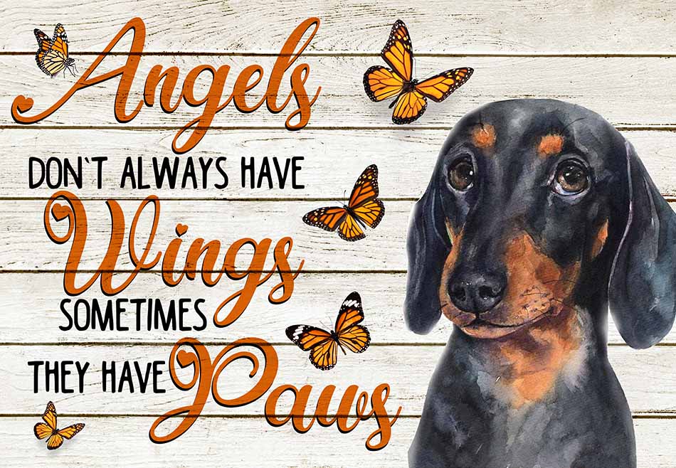 Angels Don't Always Have Wing Sometimes They New Paws Dachshund MH0409
