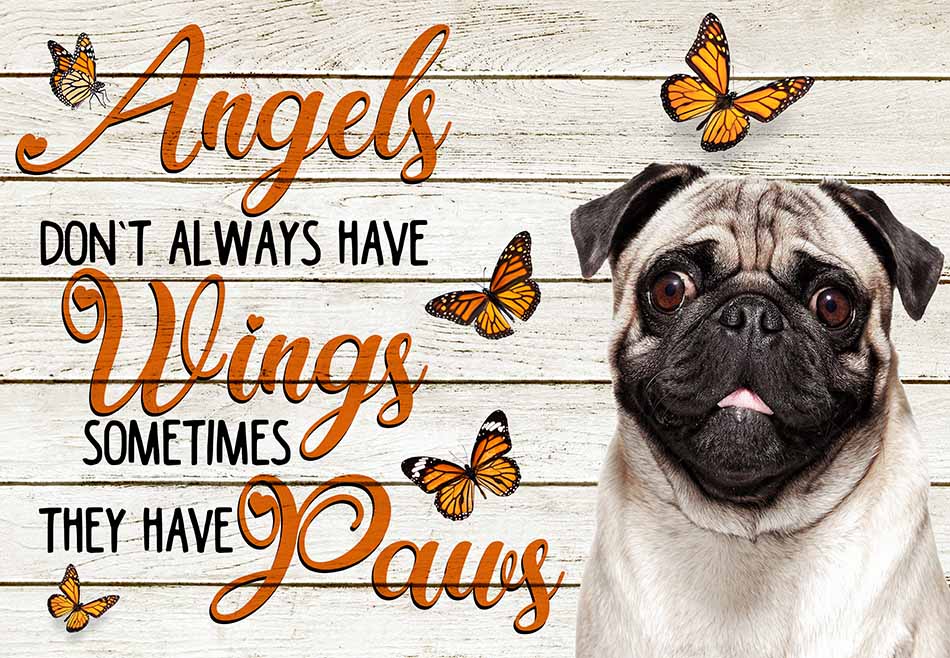 Angels Don't Always Have Wing Sometimes They New Paws Pug MH0409