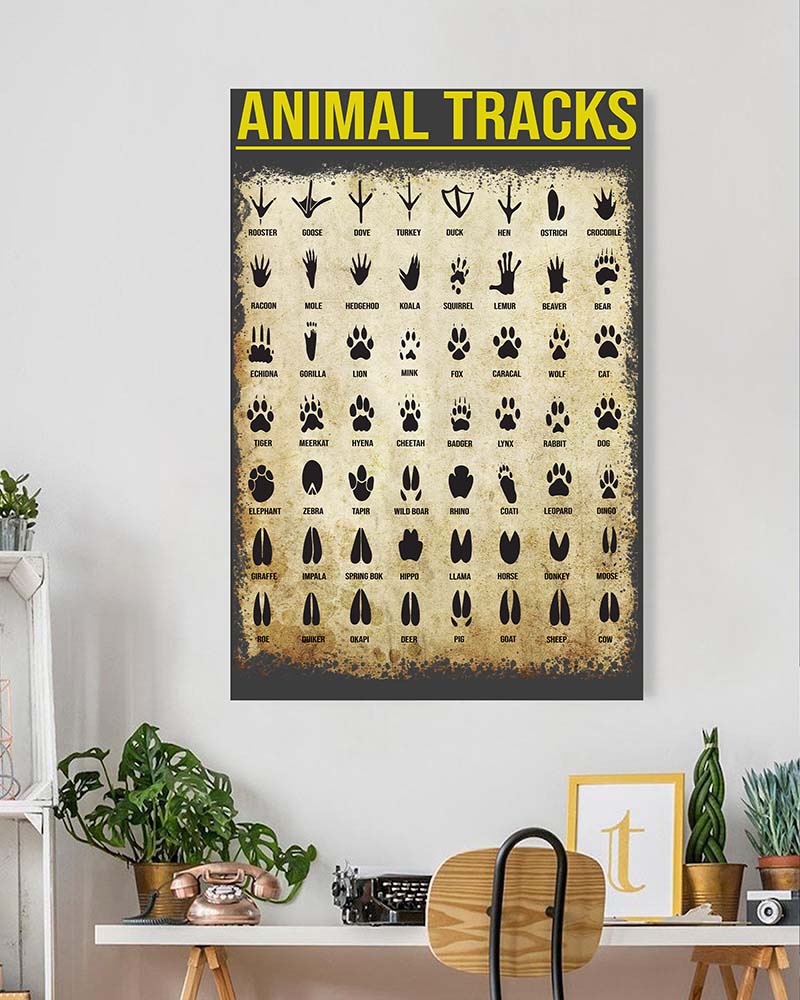 Animal Tracks-VT1105