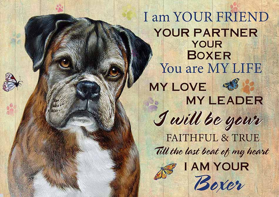 I'm Your Friend You're My Life My Love My Leader Boxer Art-TT2708