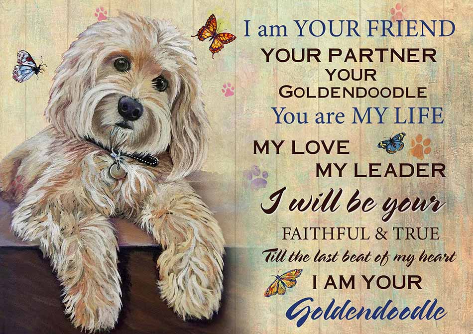 I'm Your Friend You're My Life My Love My Leader Goldendoodle Art-TT2708