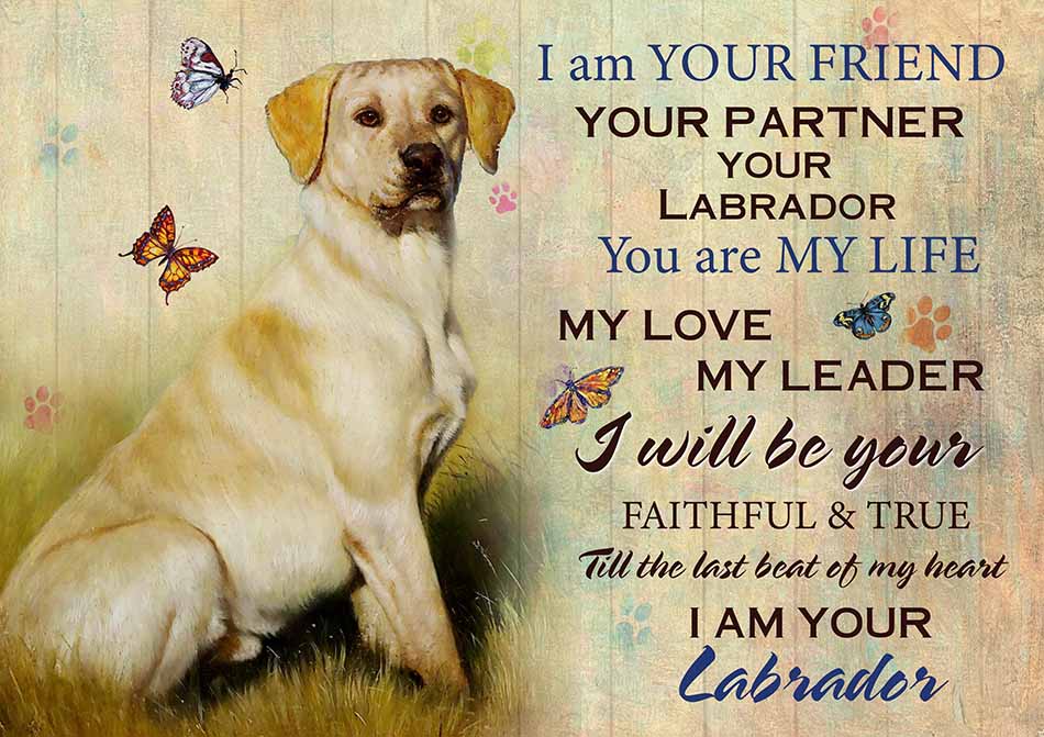 I'm Your Friend You're My Life My Love My Leader Labrador Art-TT2708