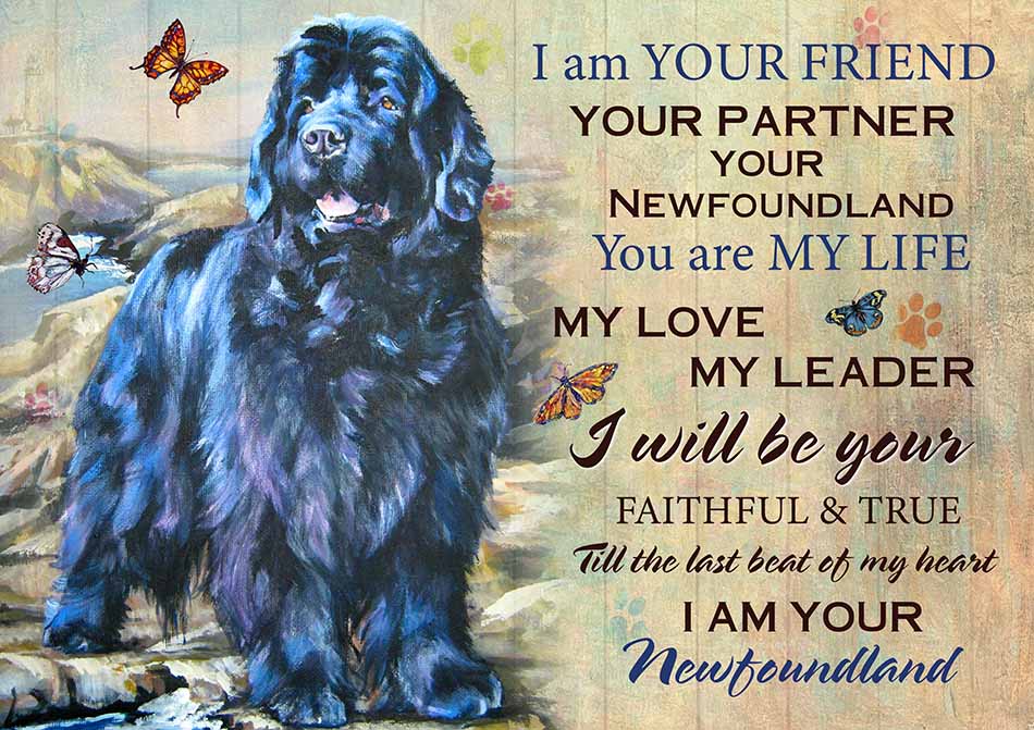 I'm Your Friend You're My Life My Love My Leader Newfoundland Art-TT2708