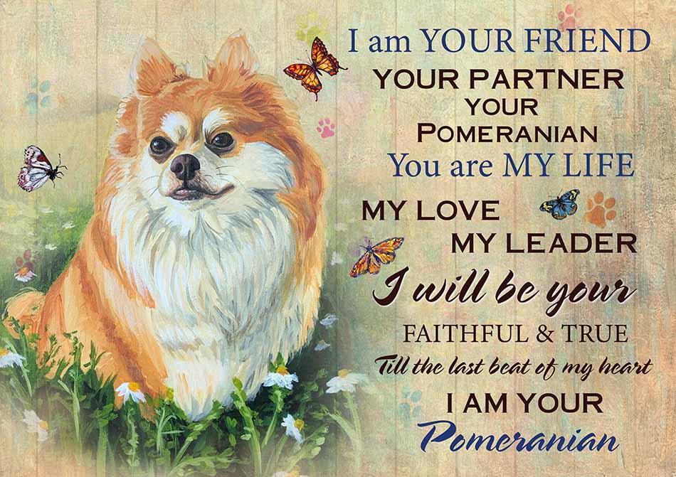 I'm Your Friend You're My Life My Love My Leader Pomeranian Art-TT2708