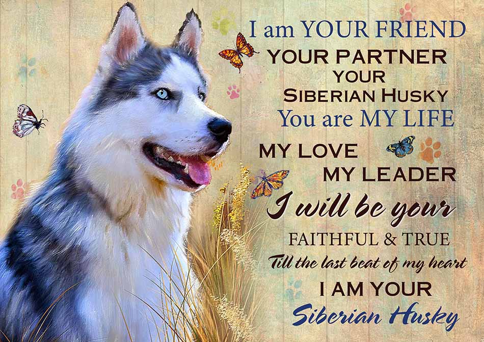 I'm Your Friend You're My Life My Love My Leader Siberian Husky Art-TT2708