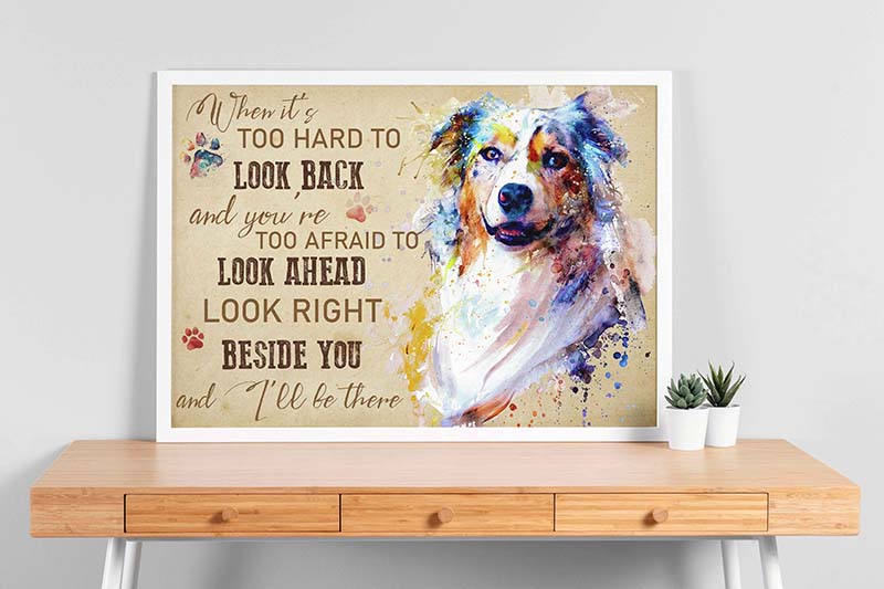 Australian Shepherds When It's Too Hard to Look Back TT2009