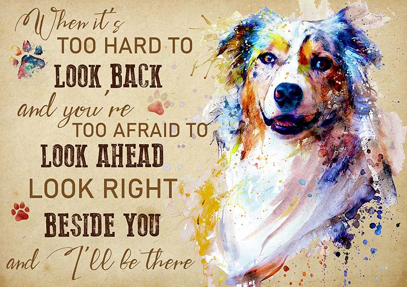 Australian Shepherds When It's Too Hard to Look Back TT2009