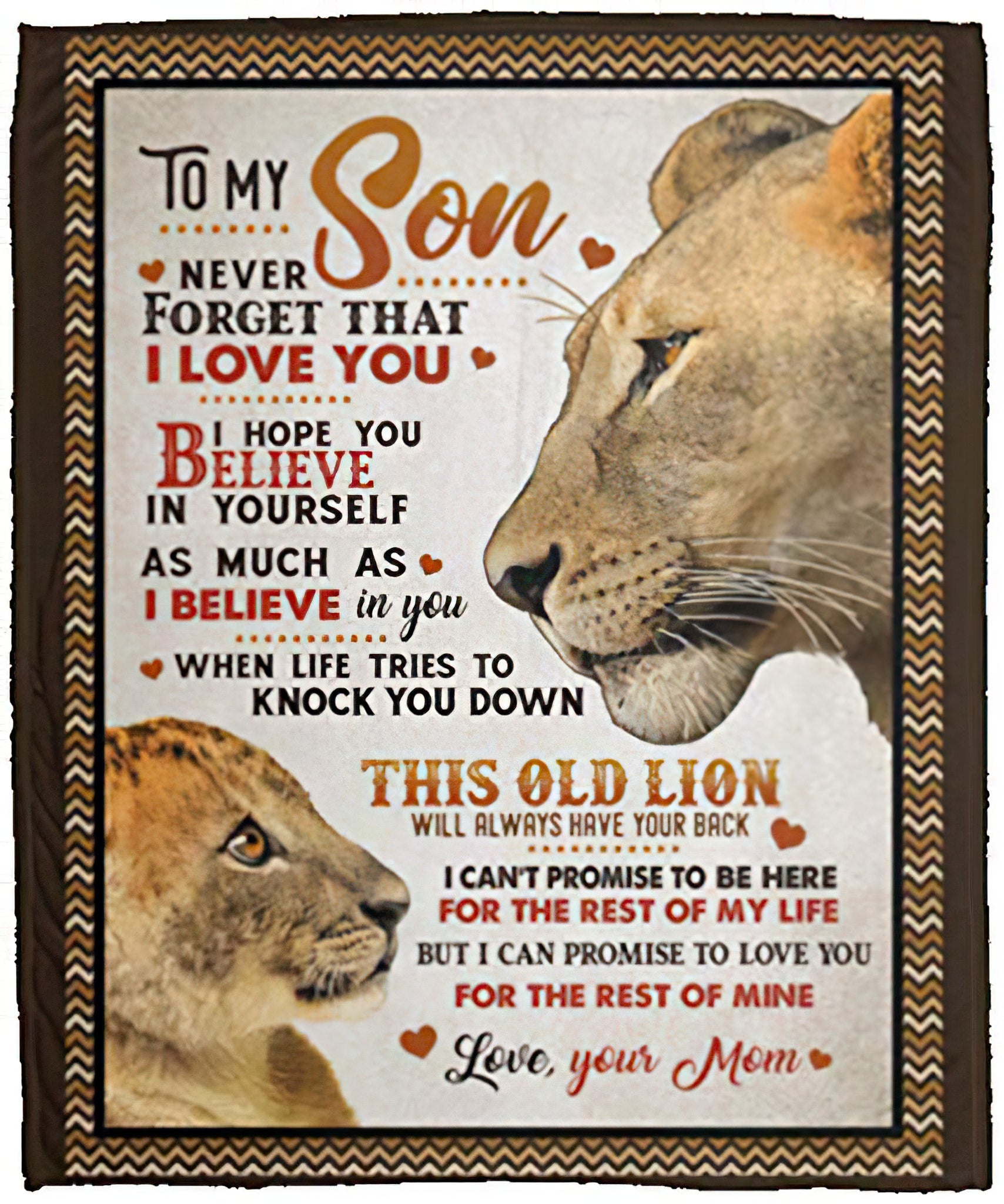 To My Son Never Forget That I Love You Hope You Believe In Yourself Old Lion