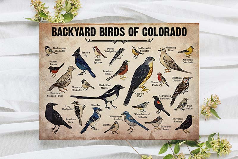 Skitongifts Wall Decoration, Home Decor, Decoration Room Backyard Birds Of Colorado-MH2409