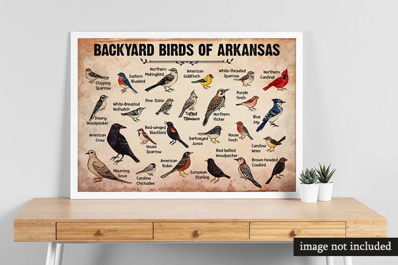 Skitongifts Wall Decoration, Home Decor, Decoration Room Backyard Birds of Arkansas-MH2409