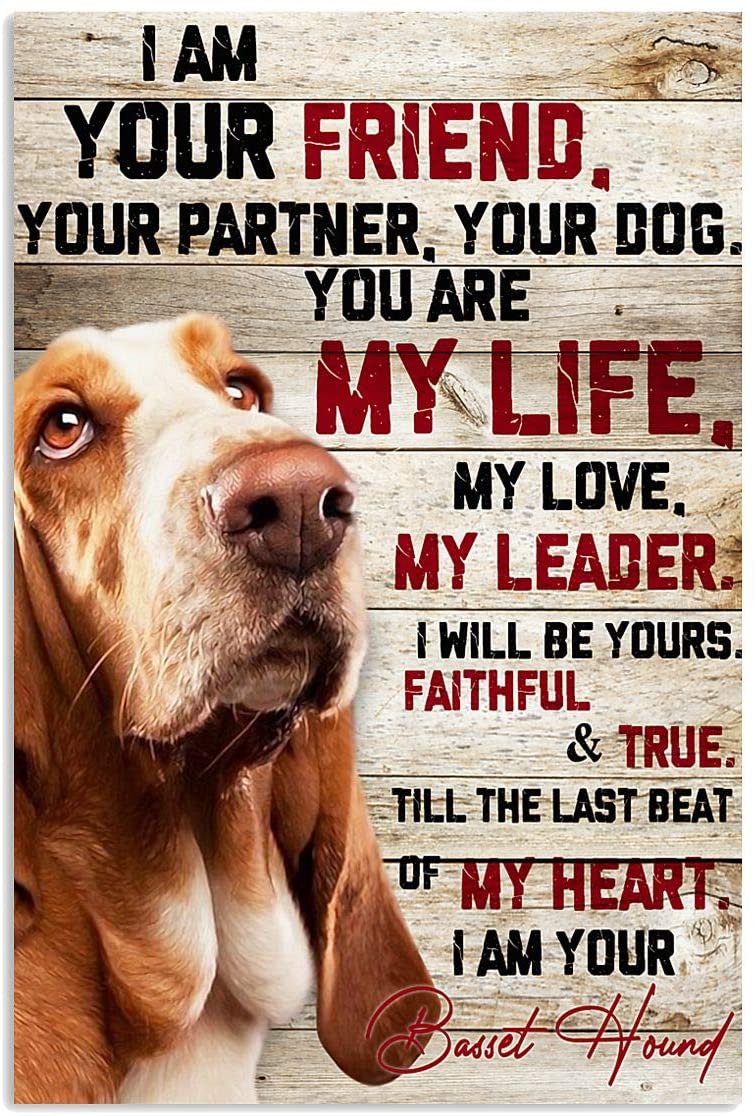 Basset Hound Dog I Am Your Friend Partner You Are Life Leader Dog Pet Love Quote