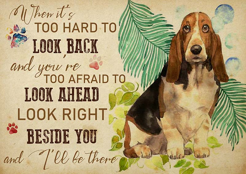 Basset Hound When It's Too Hard to Look Back-TT2009