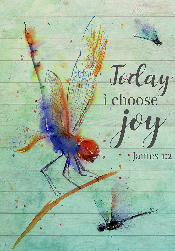 Beautiful Color Dragonfly Today I Choose Joy James 1 2 TT167