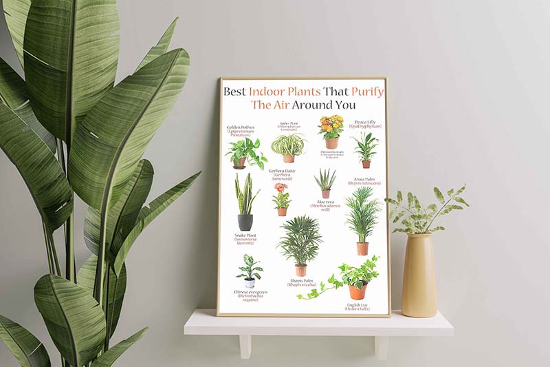 Skitongifts Wall Decoration, Home Decor, Decoration Room Best Indoor Plants That Purify The Air Around You-TT2509