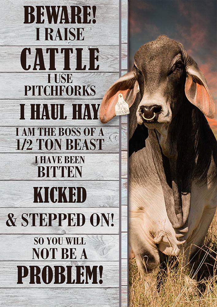 Beware I Raise Cattle Pitchforks Haul Hay Bitten Kicked Not Be A Problem Cows Brahman TT207