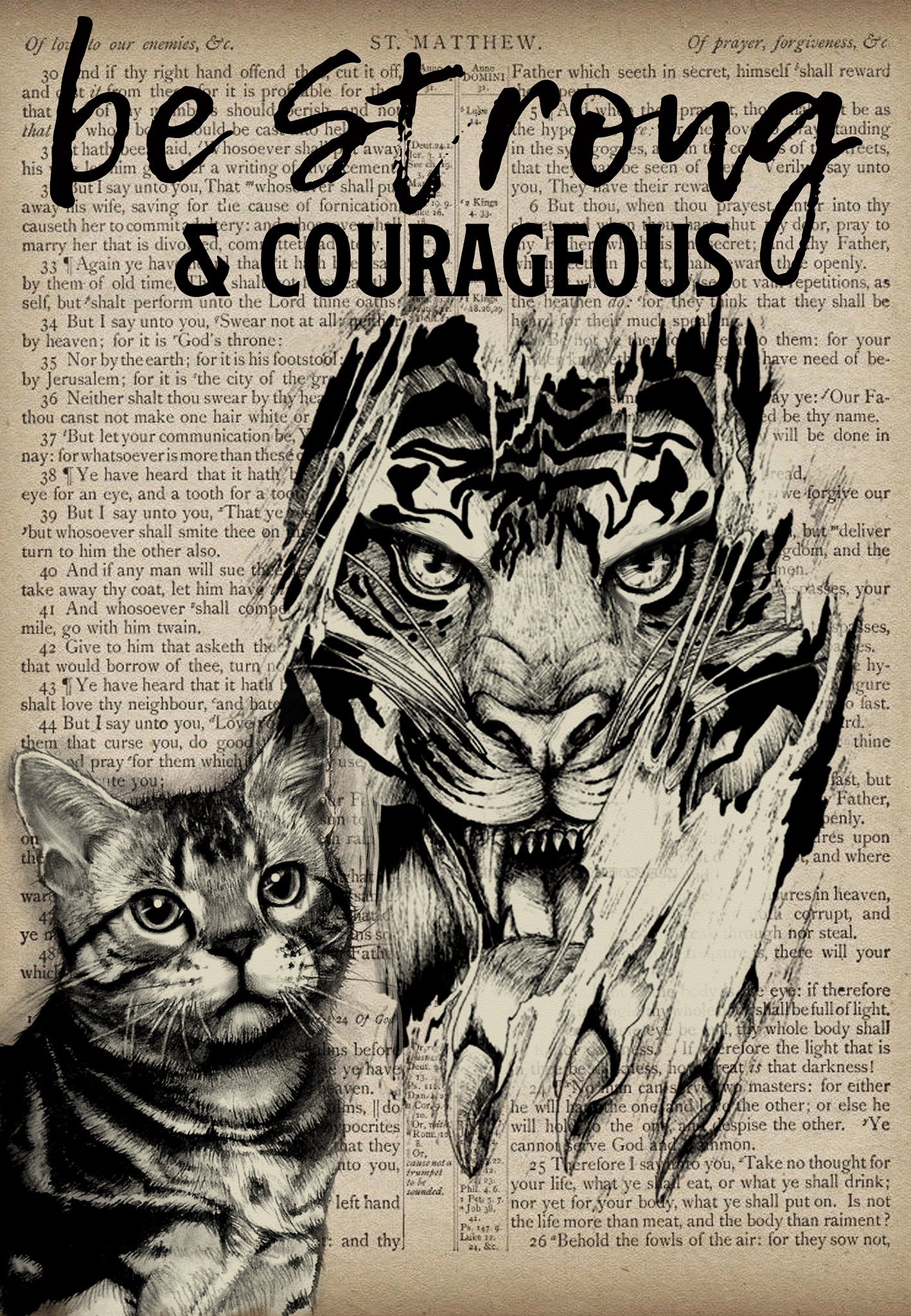 Bible Be Strong And Courageous Cat