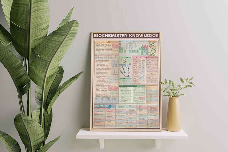 Skitongifts Wall Decoration, Home Decor, Decoration Room Biochemistry Knowledge-TT0610