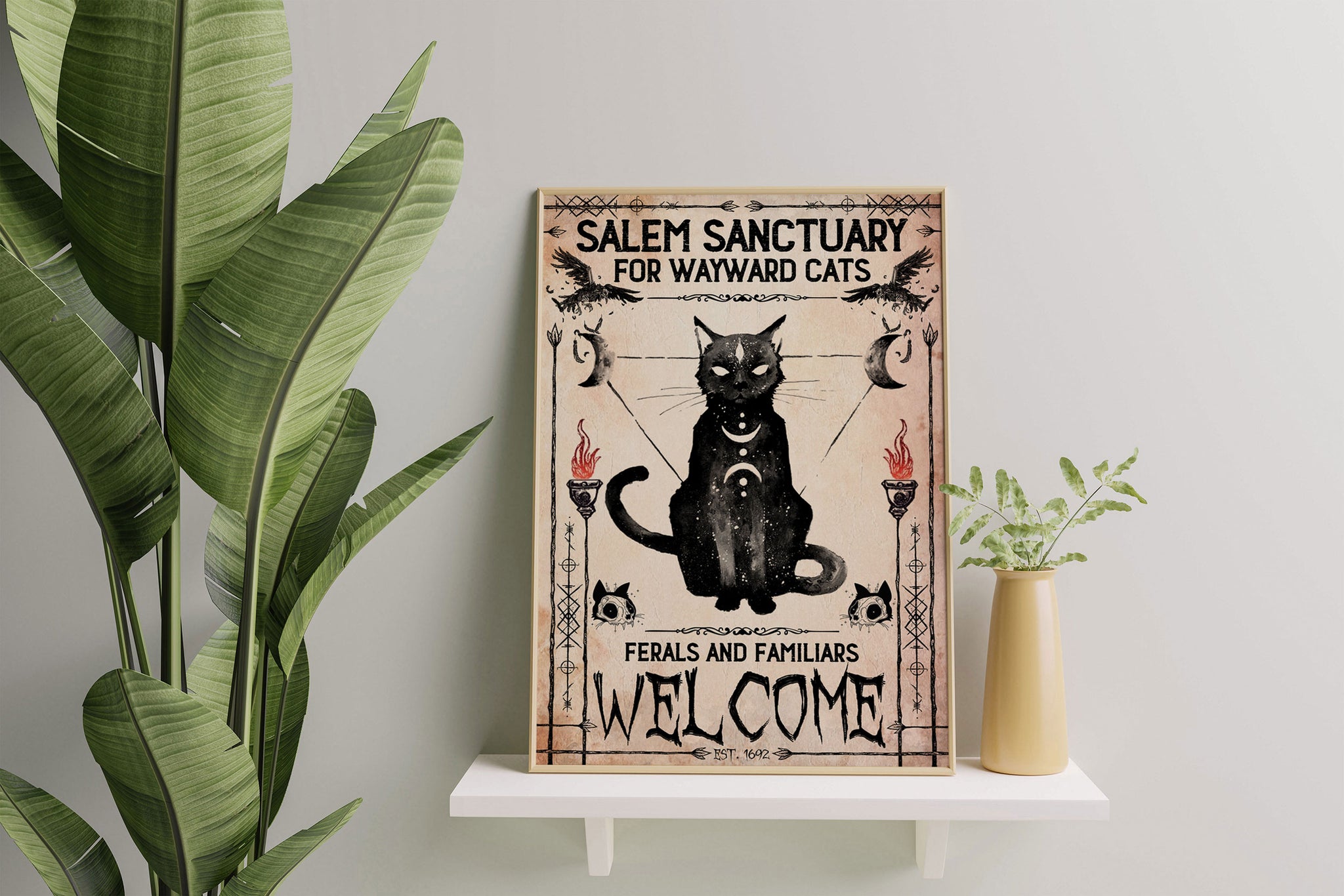 Black Cat Wayward Salem Sanctuary For Wayward Cats-MH0708's