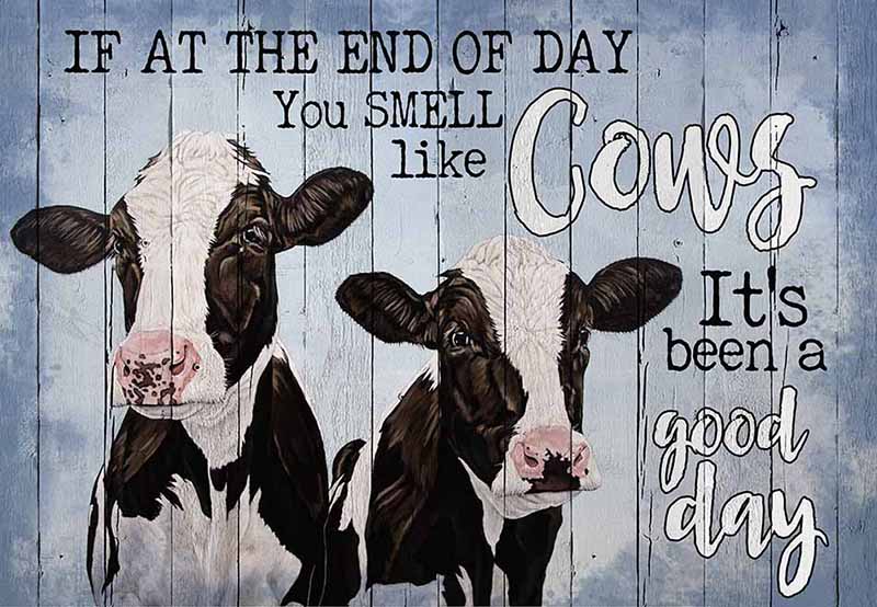 Black Angus Cow If At The End Of Day You Smell Like Cows MH1109
