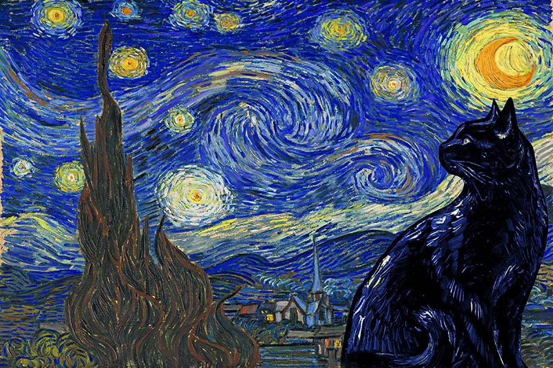 Black Cat Van Gogh Style Starry Night-TT0409