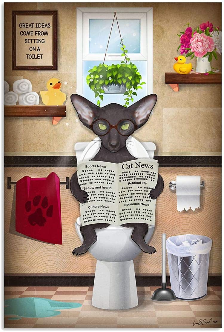 Black Sphynx Read Newspaper Toilet Bathroom Funny